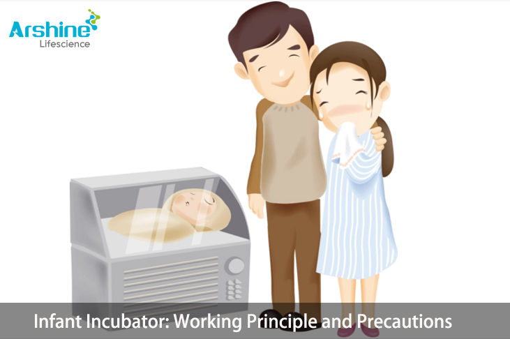 Infant Incubator Working Principle and Precautions