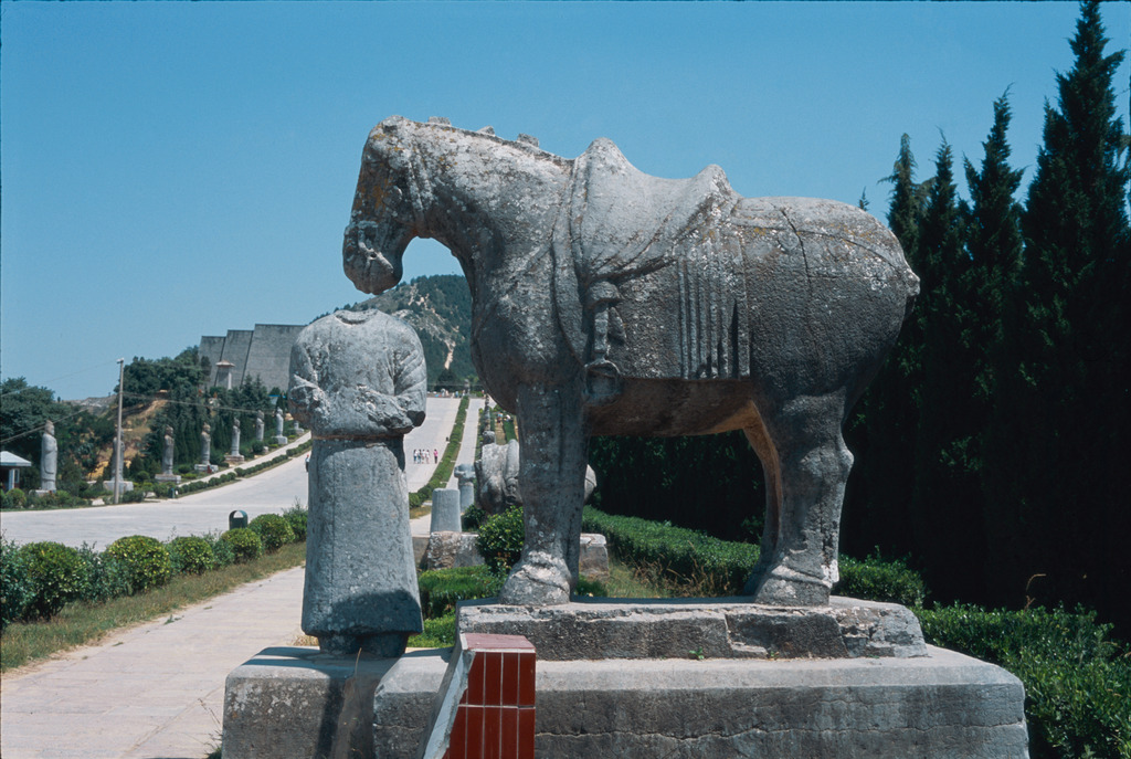 1452743276302071.jpg 216-0098